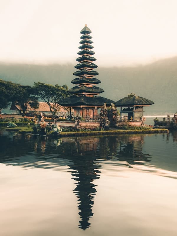 Terraced rice fields falling away into a Balinese valley