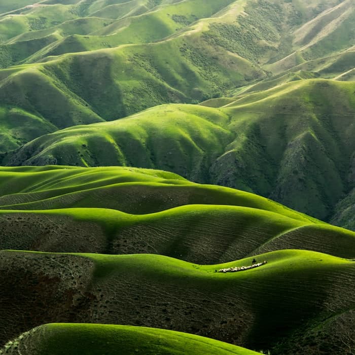 Green hills meeting the sea along the Icelandic coast